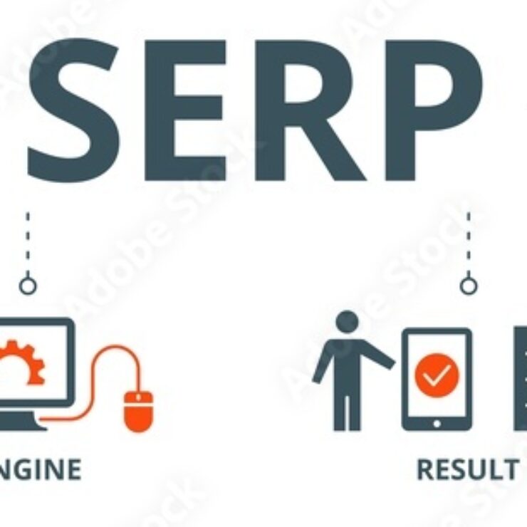 SERP Nedir? SERP Ne Anlama Geliyor?