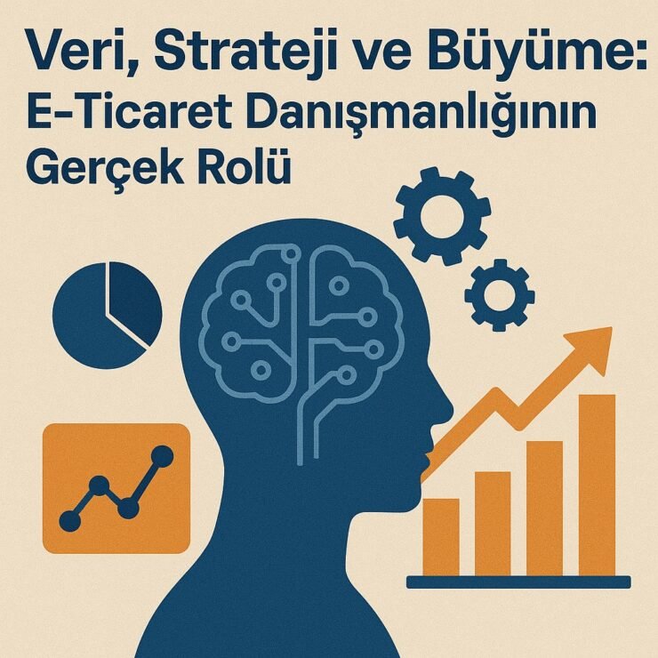 Veri, Strateji ve Büyüme: E-Ticaret Danışmanlığının Gerçek Rolü